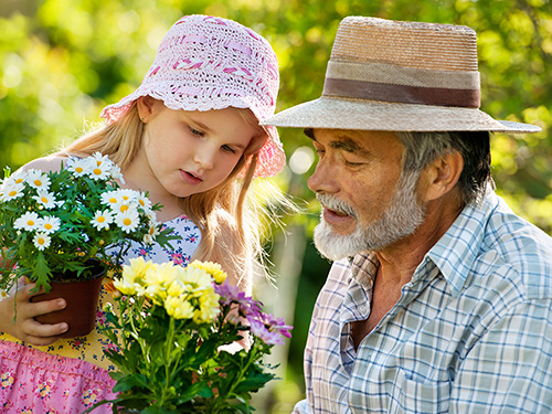 Gandfather teaching granddaughter to garden>